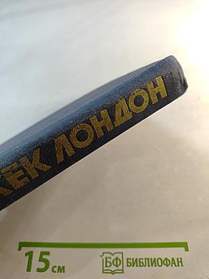 Собрание сочинений в тринадцати томах. Том 10