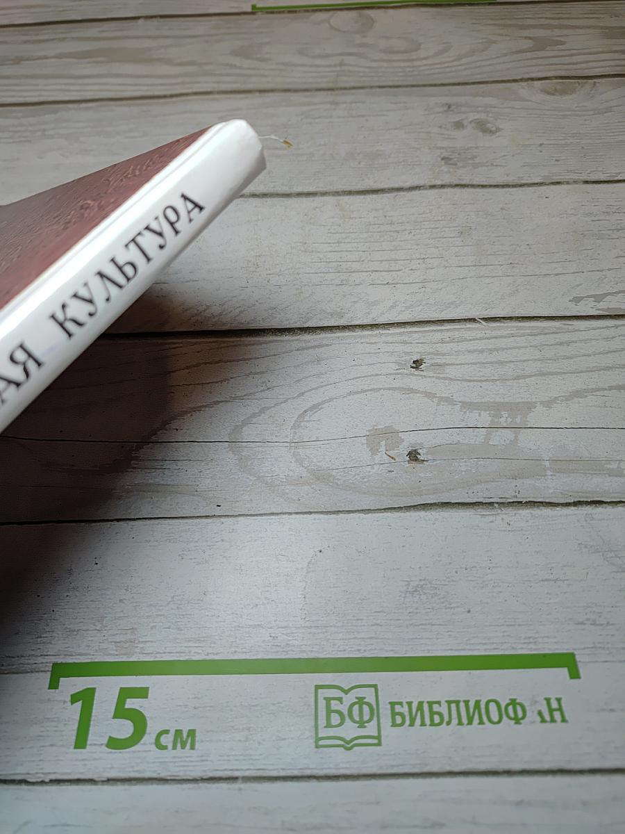 Мировая художественная культура. Средние века. Часть II, книга 1
