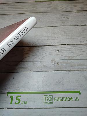 Мировая художественная культура. Средние века. Часть II, книга 1