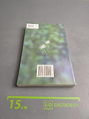 Грамматика английского языка. Инфинитив