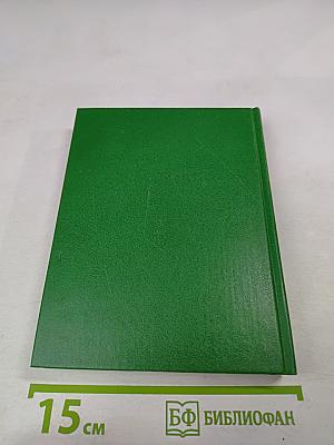 Высоких мыслей достояние. Повесть о Михаиле Бестужеве