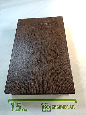 Собрание сочинений. Том десятый. Городок Окуров. Жизнь Матвея Кожемякина. Наброски