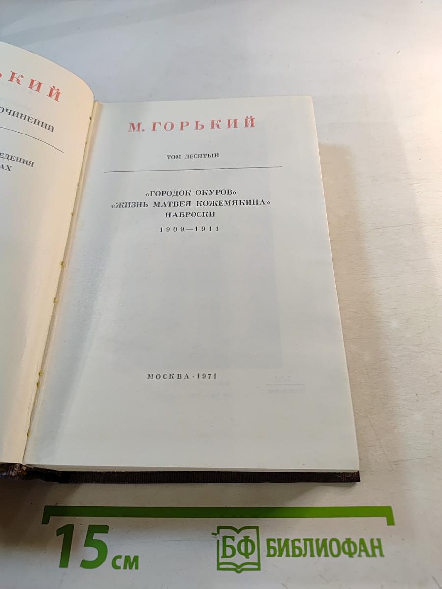 Собрание сочинений. Том десятый. Городок Окуров. Жизнь Матвея Кожемякина. Наброски