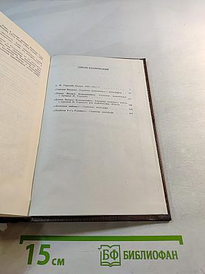 Собрание сочинений. Том десятый. Городок Окуров. Жизнь Матвея Кожемякина. Наброски