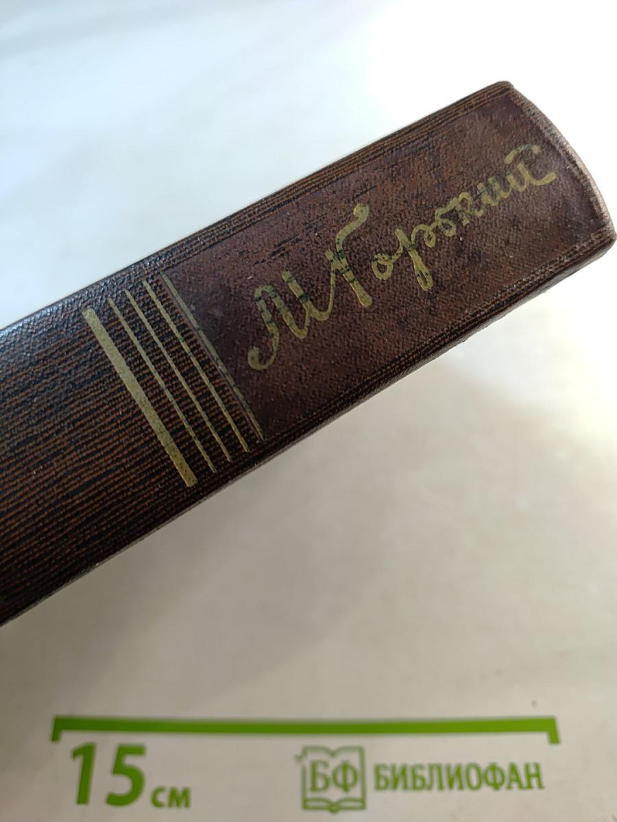 Собрание сочинений. Том десятый. Городок Окуров. Жизнь Матвея Кожемякина. Наброски