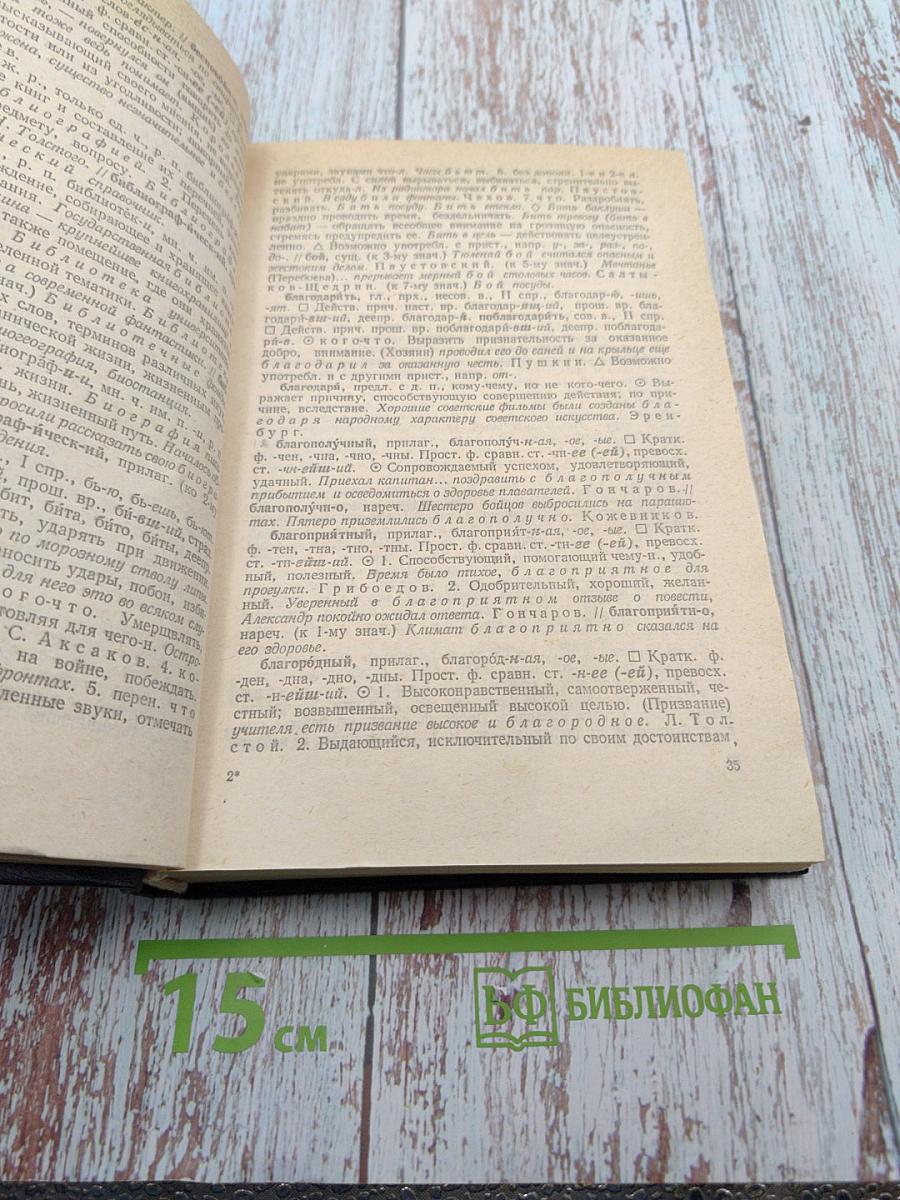 Школьный толковый словарь русского языка