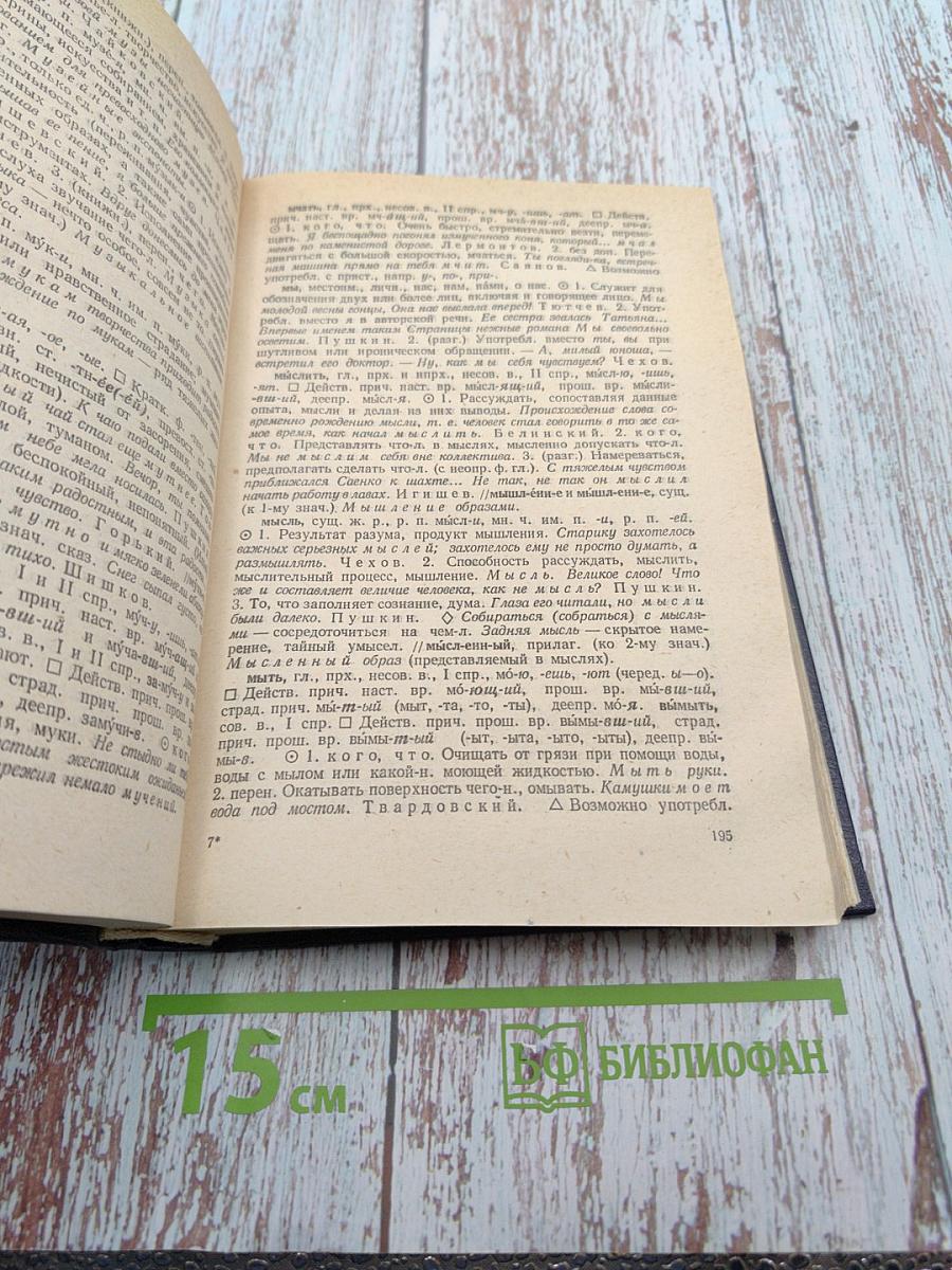 Школьный толковый словарь русского языка