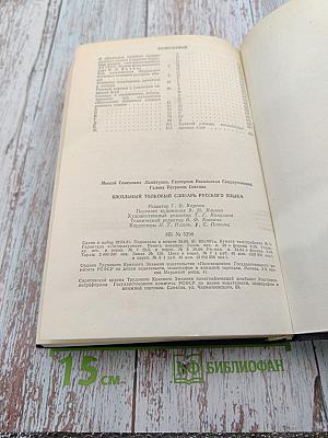 Школьный толковый словарь русского языка