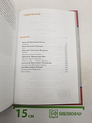 Литература. 8 класс. Часть II