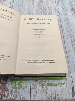 Человеческая комедия. Том 5. Этюды о провинциальной жизни