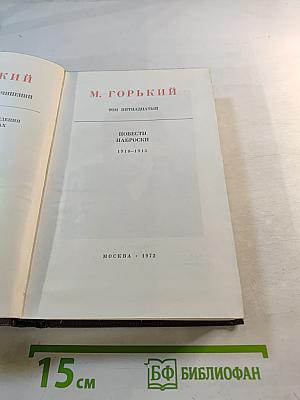 Повести. Наброски. 1910–1915. Том пятнадцатый