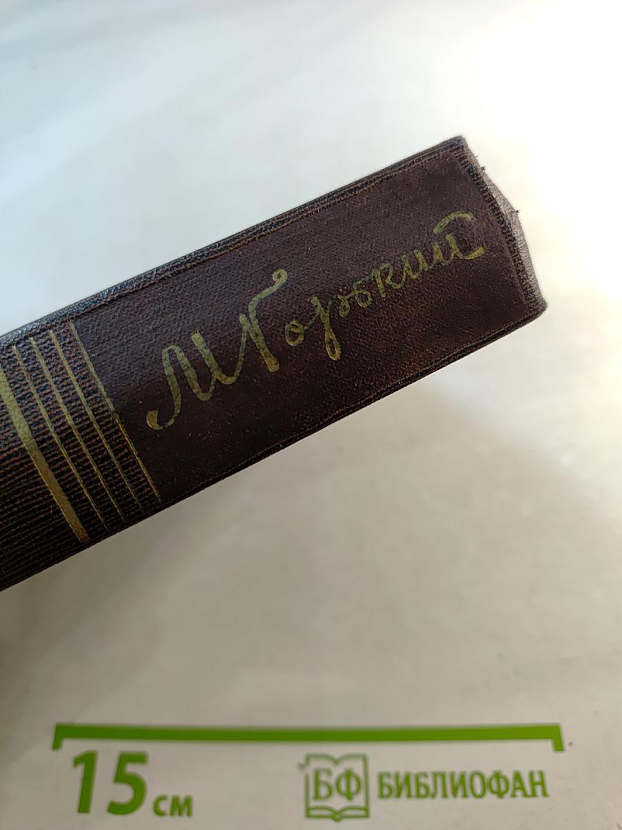 Повести. Наброски. 1910–1915. Том пятнадцатый