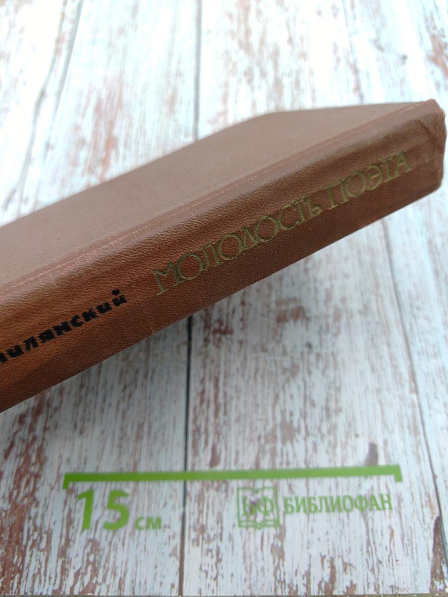 Молодость поэта