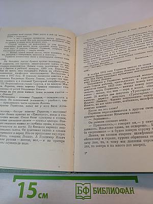 Строитель нового мира