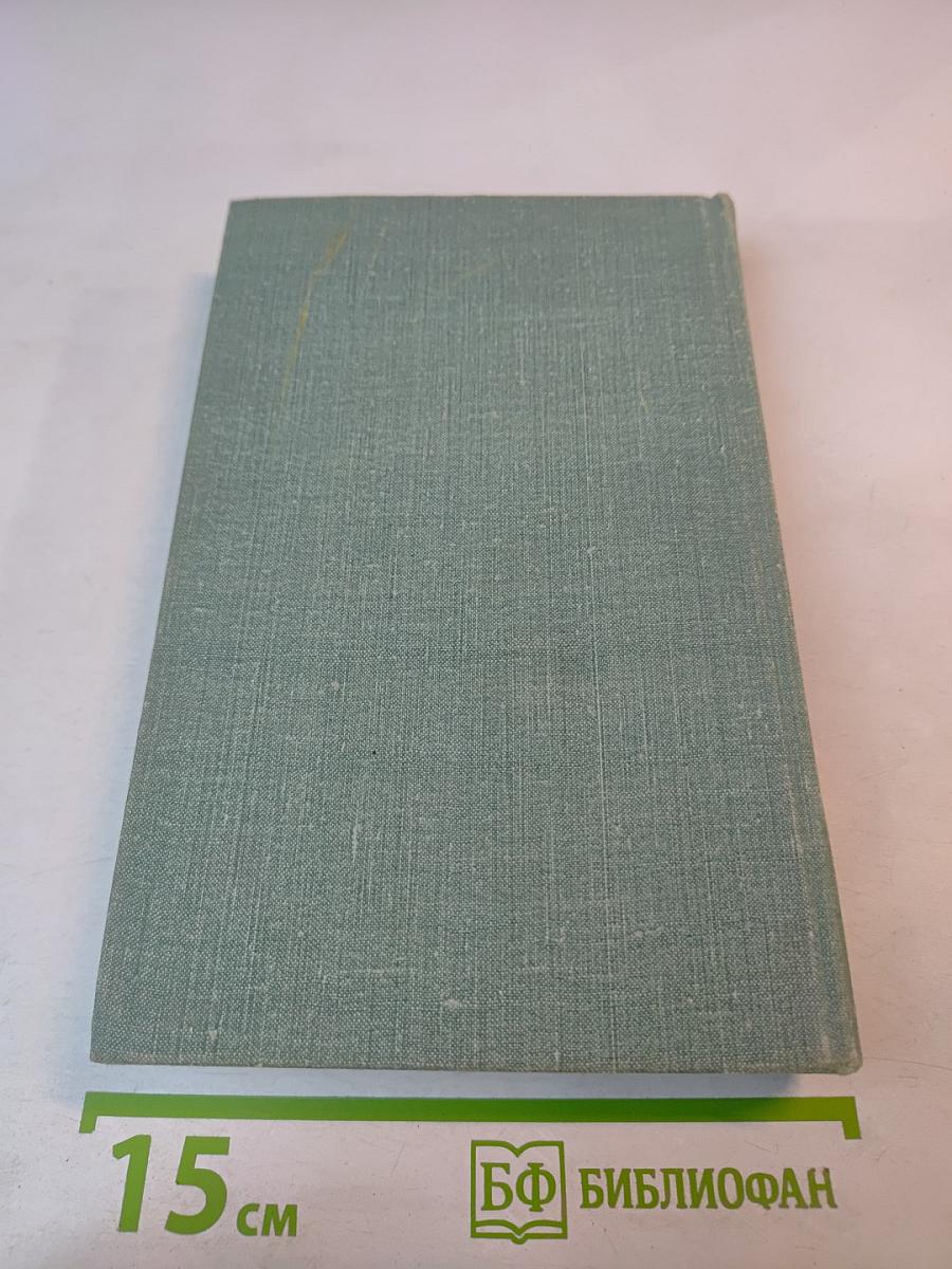 Строитель нового мира