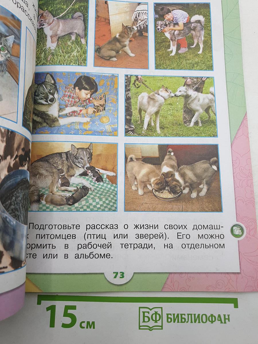 Окружающий мир. Часть 2