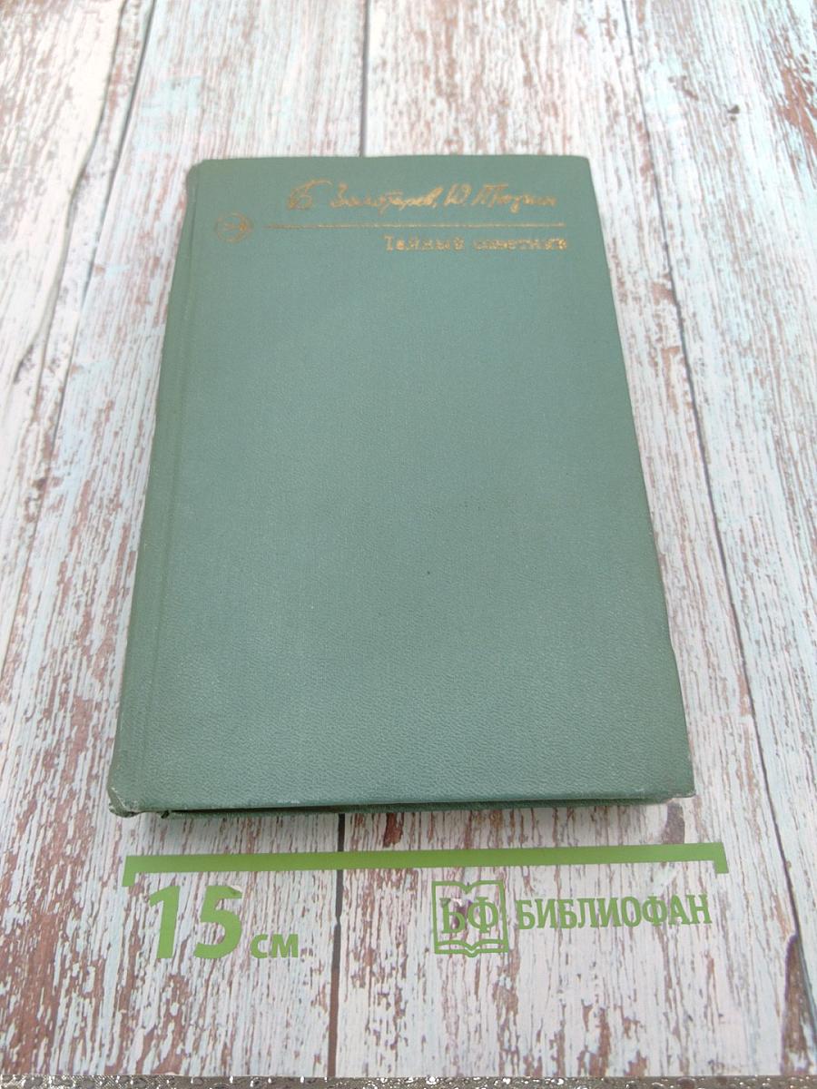 Тайный советник. Книга вторая