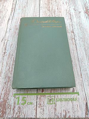 Тайный советник. Книга вторая