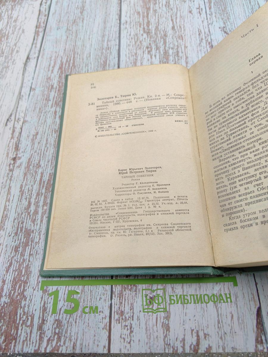 Тайный советник. Книга вторая