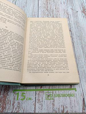 Тайный советник. Книга вторая