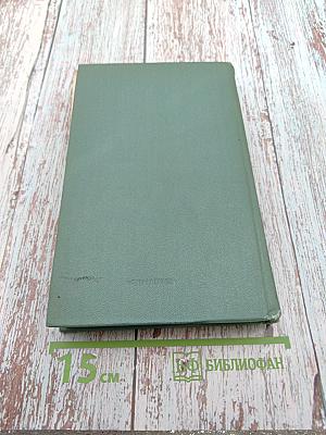 Тайный советник. Книга вторая