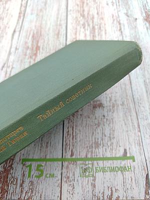 Тайный советник. Книга вторая