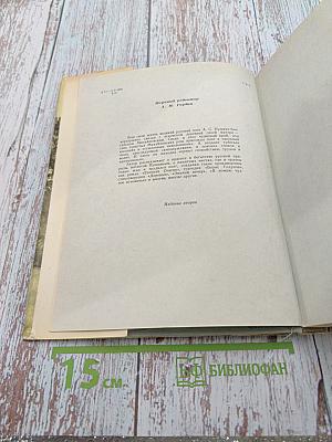 Там, где шумят михайловские рощи