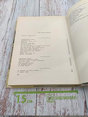 Там, где шумят михайловские рощи