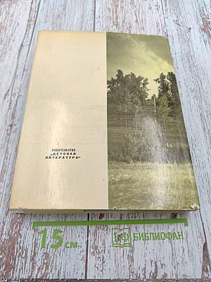 Там, где шумят михайловские рощи