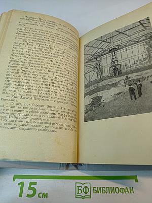 Ледяной остров