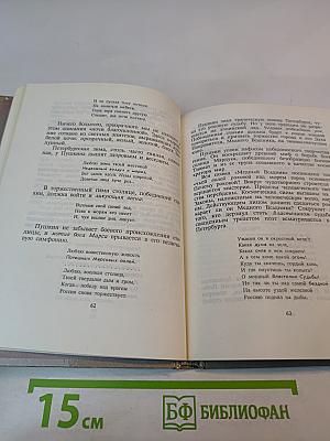 Душа Петербурга