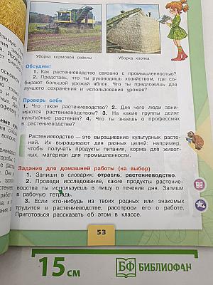 Окружающий мир. 3 класс. Часть 2
