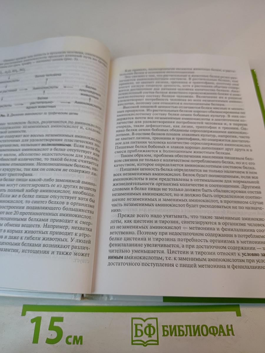 Основы биохимии