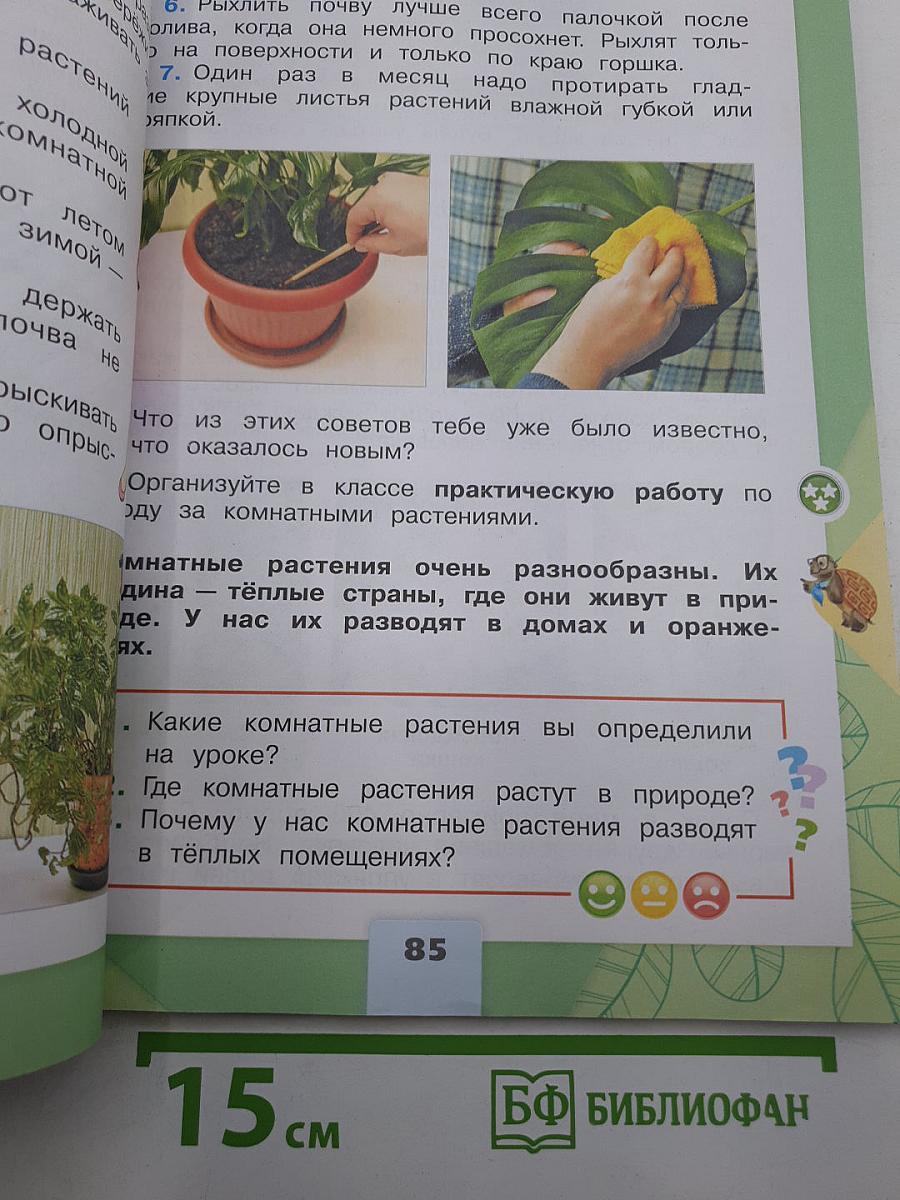 Окружающий МИР. Часть 1