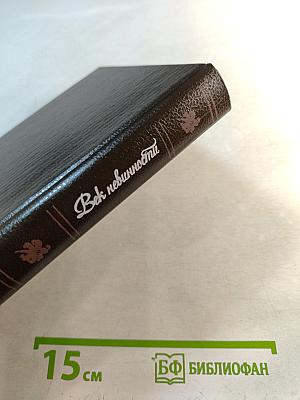 Век невинности