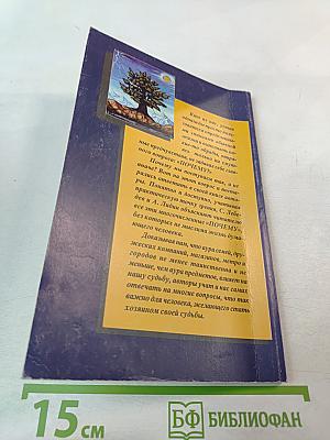 Карма повседневности. Аура материального мира