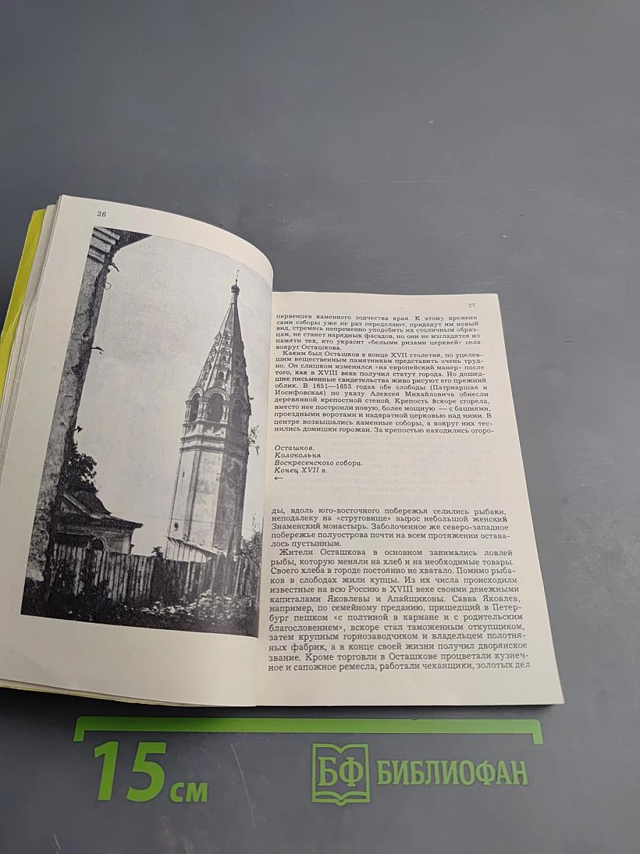 Художественные памятники Селигерского края