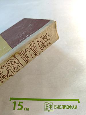 Осенние цветы