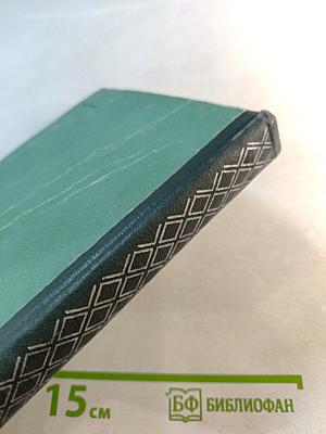 Практическая стилистика русского литературного языка