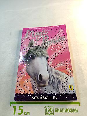 Magic Ponies: A Special Wish