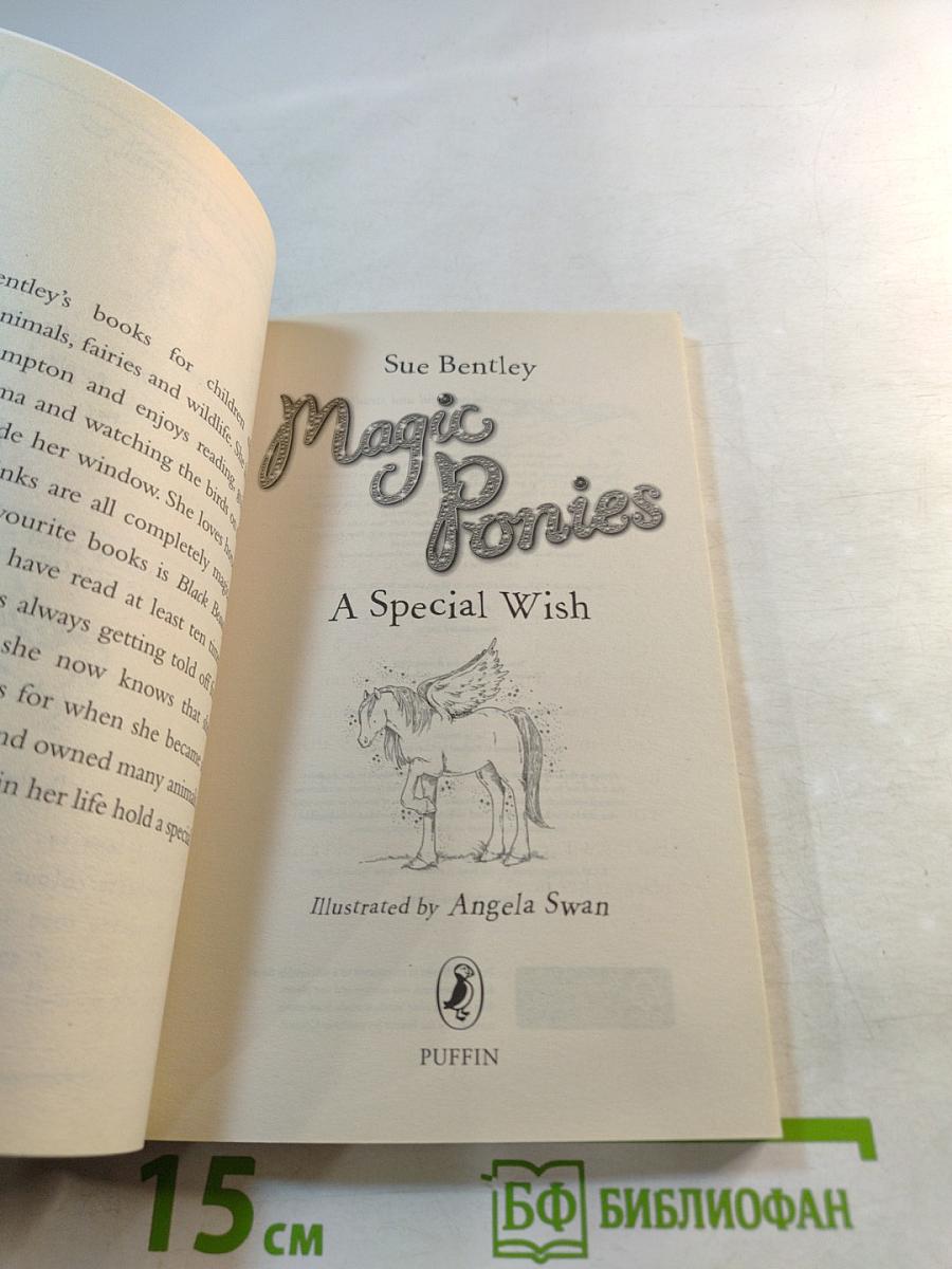 Magic Ponies: A Special Wish