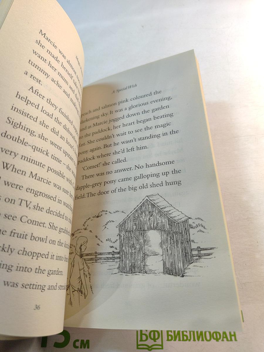 Magic Ponies: A Special Wish