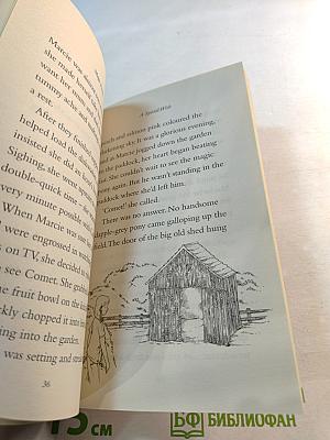 Magic Ponies: A Special Wish