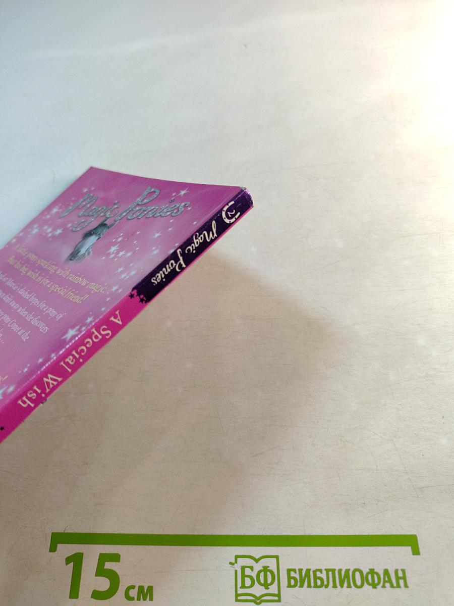 Magic Ponies: A Special Wish