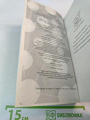 SWITCH Chameleon Chaos