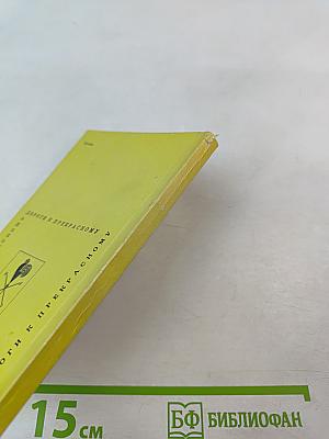 В низовьях Дона