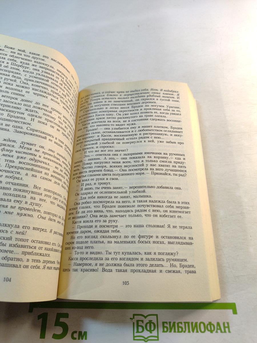 Замок мечты