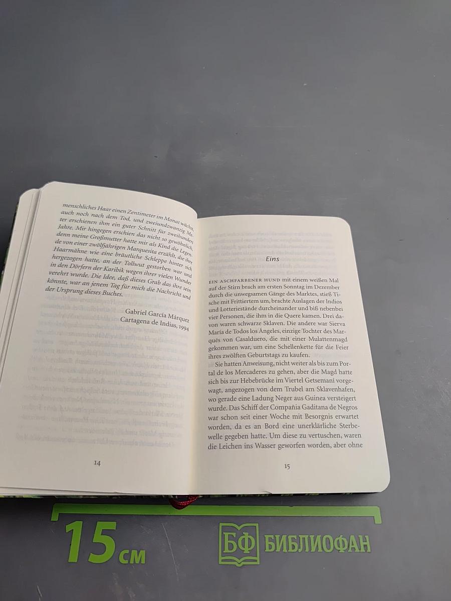 Von der Liebe und anderen Dämonen