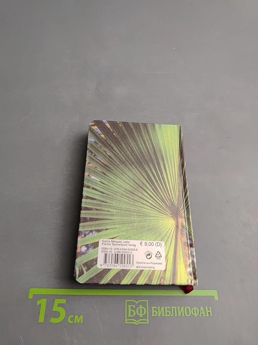 Von der Liebe und anderen Dämonen