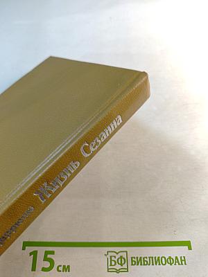 Жизнь Сезанна